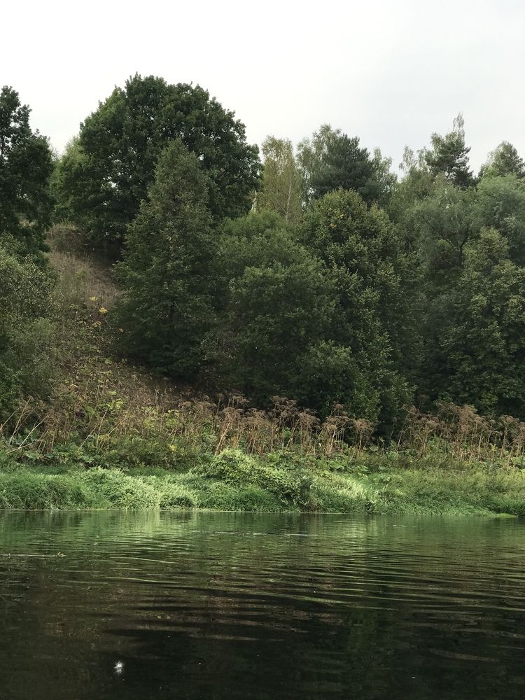 Photograph by Татьяна Шибанова