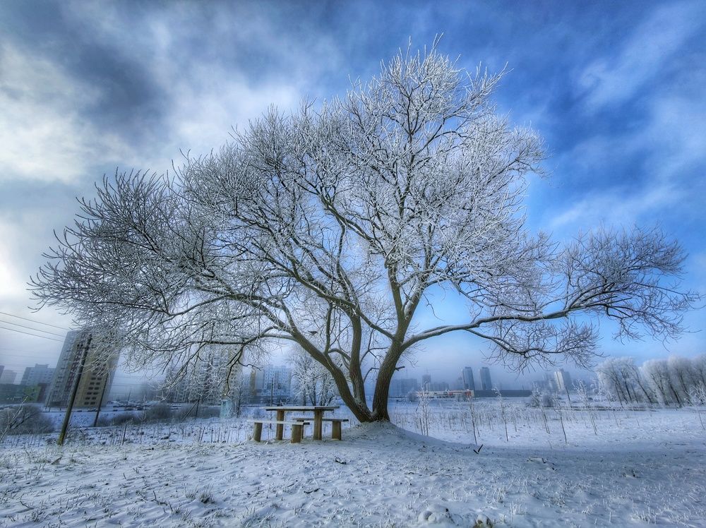 Фотография автора Максим Светличный