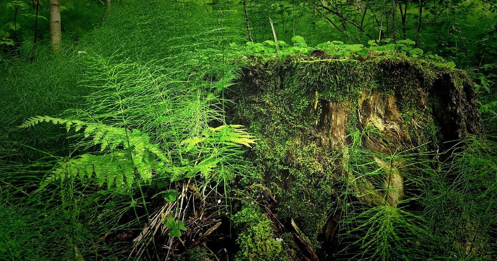 Photograph by Epp Tappel