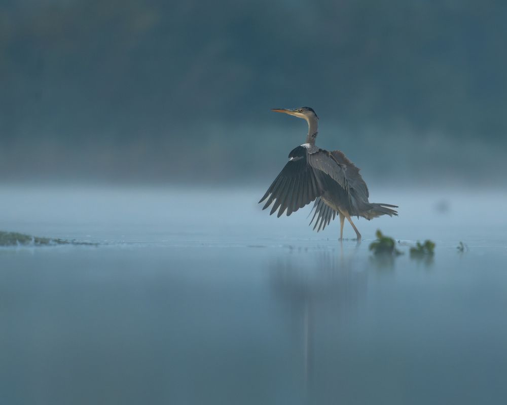 Photograph by prasanth muralidharan