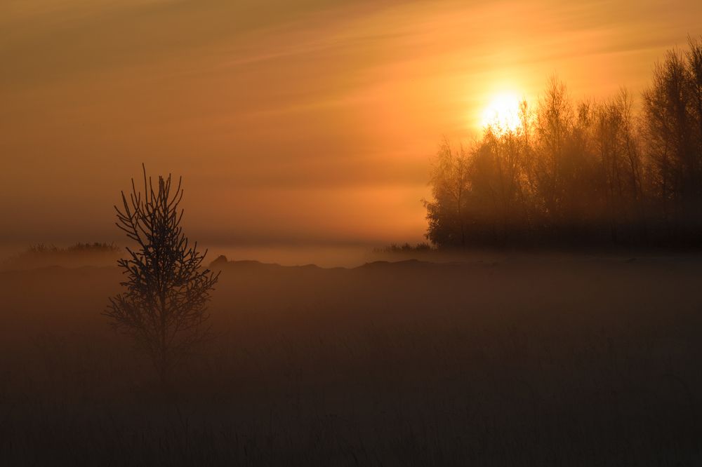 Photograph by Константин Зоткин