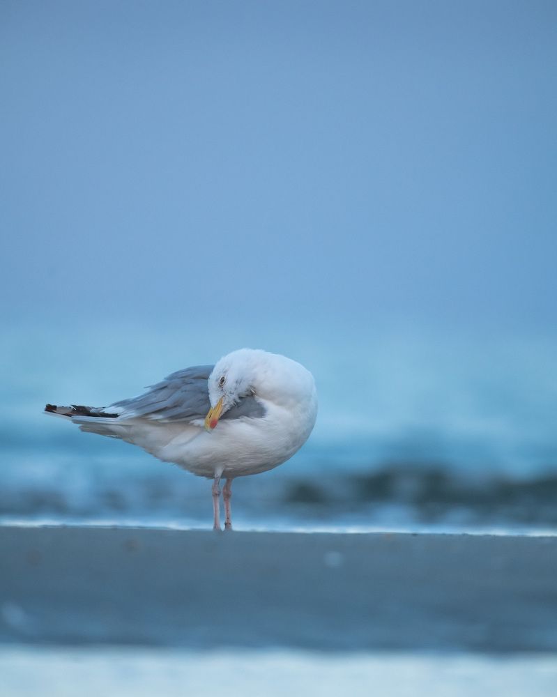 Photograph by prasanth muralidharan