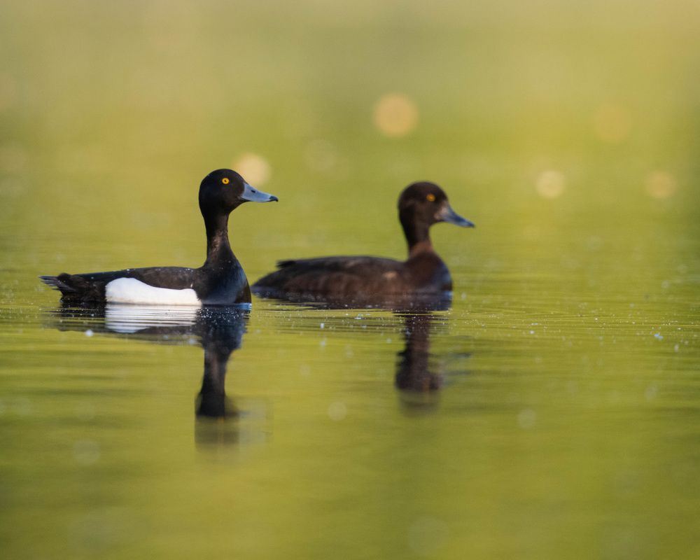 Photograph by prasanth muralidharan