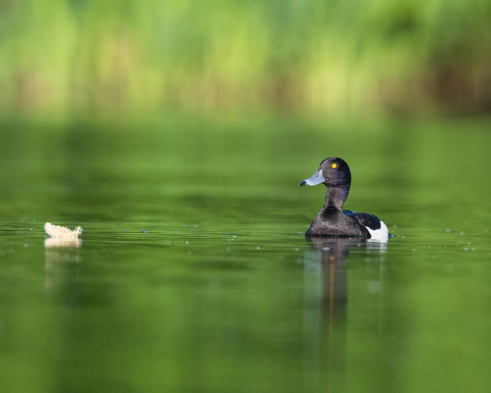 Photograph by prasanth muralidharan