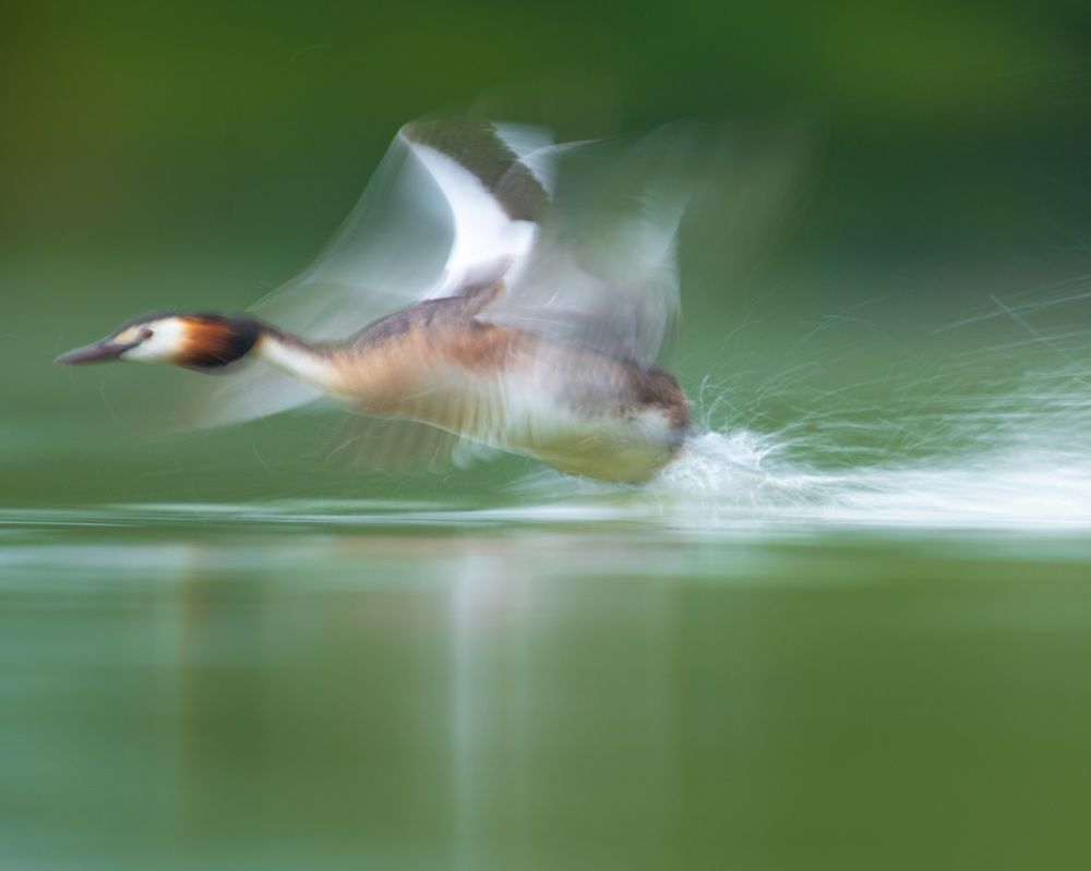 Photograph by prasanth muralidharan