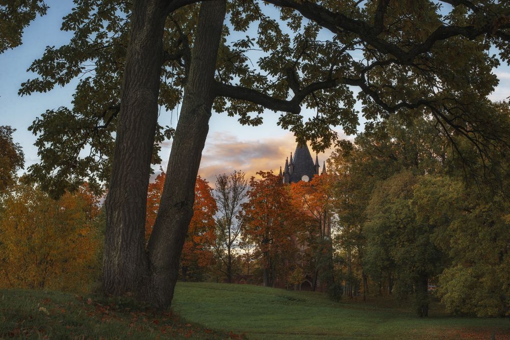 Photograph by Максим Вышарь