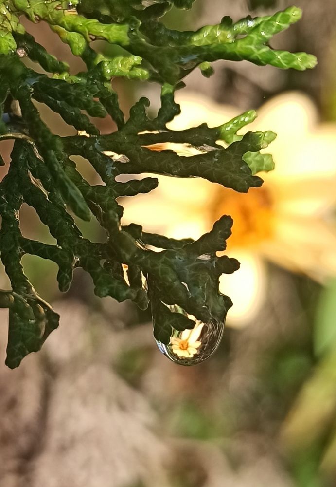 Photograph by Тихонова Ольга