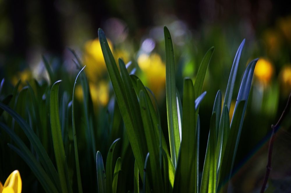 Фотография автора OXANA MARSOVA