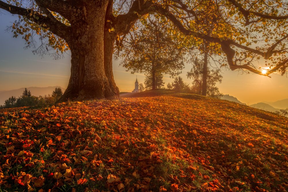 Photograph by Alain Veldin