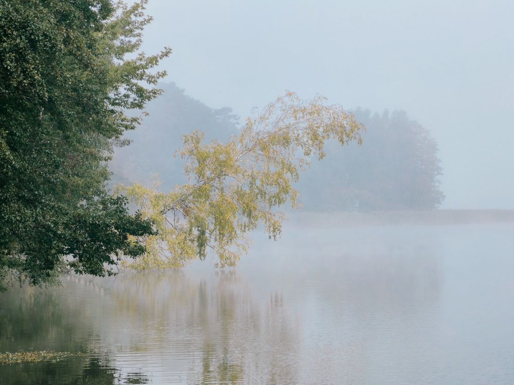 Photograph by Александр Максимов