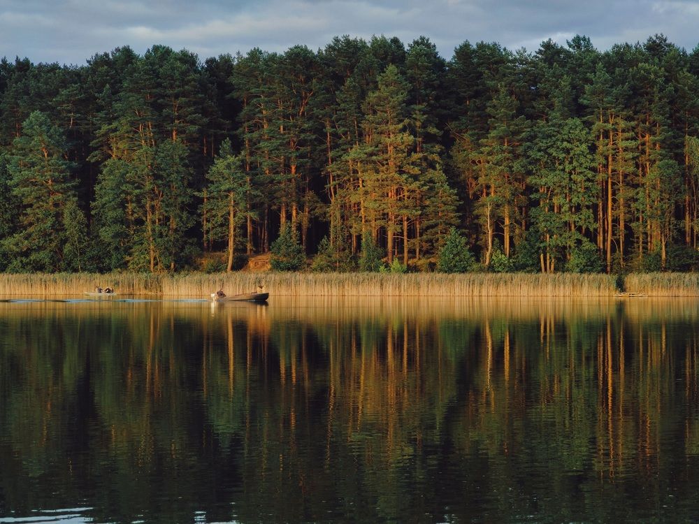 Photograph by Александр Максимов