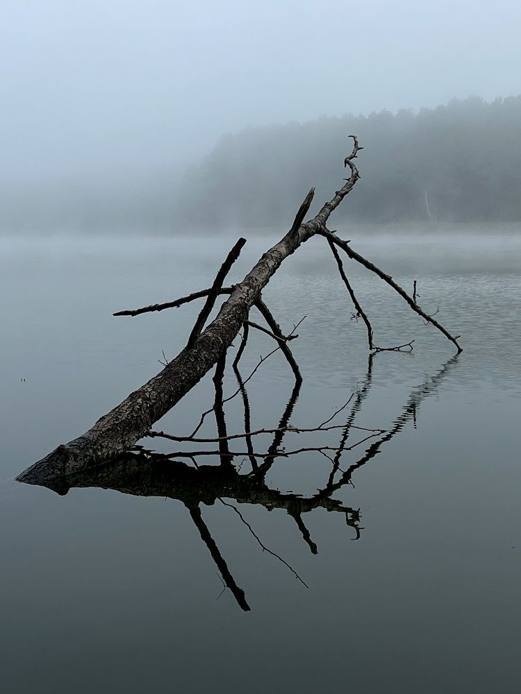 Photograph by Александр Максимов