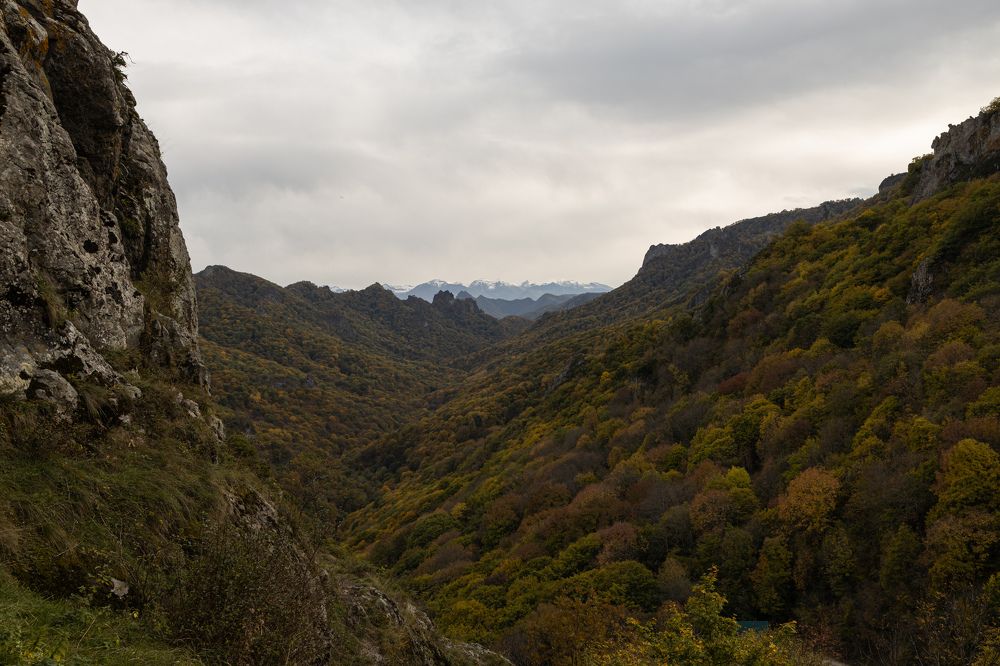 Photograph by Екатерина Абонеева