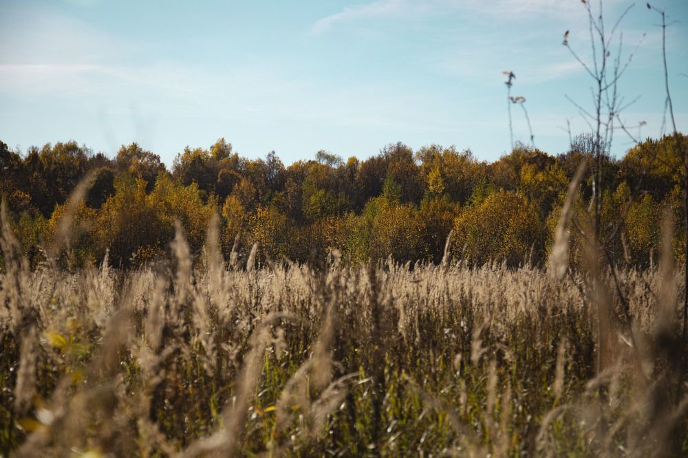 Photograph by Мария Иваницкая