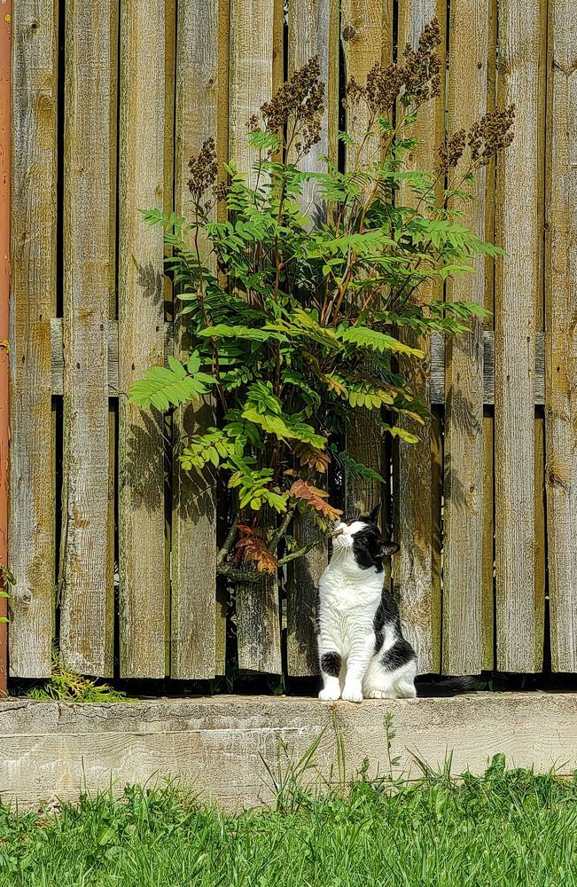 Photograph by Александр Максимов