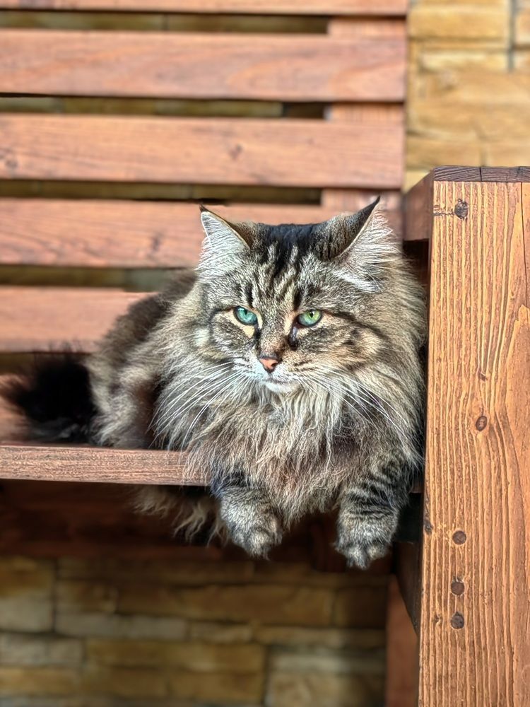 Photograph by Александр Максимов