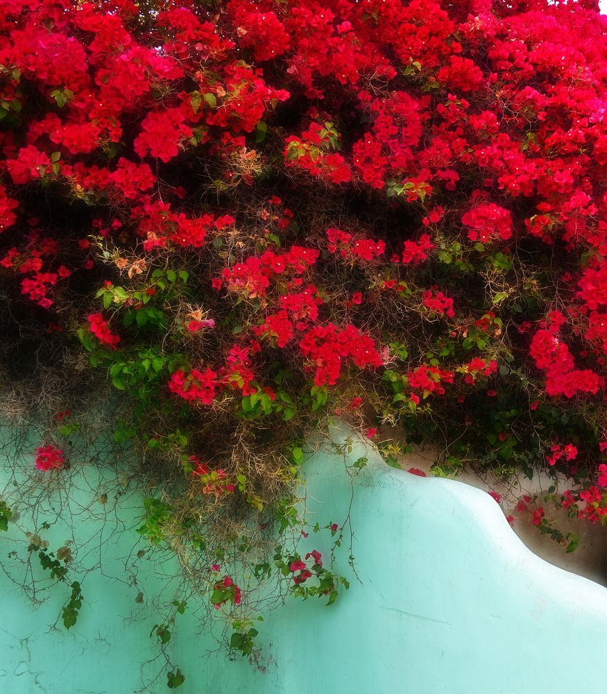 Photograph by Владимир Брагилевский