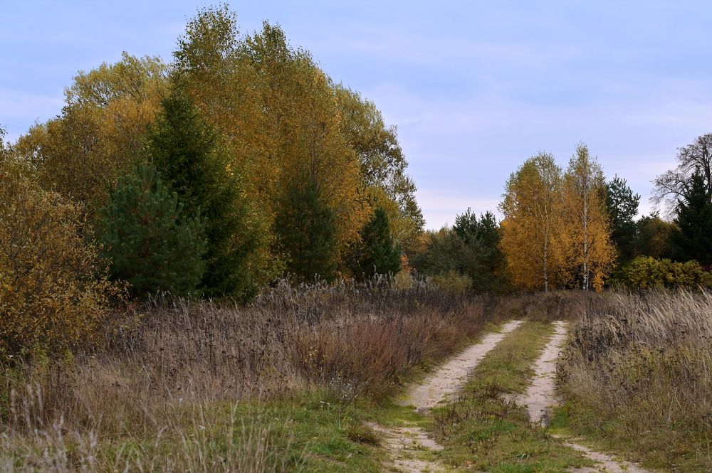 Photograph by Гусева Юлия