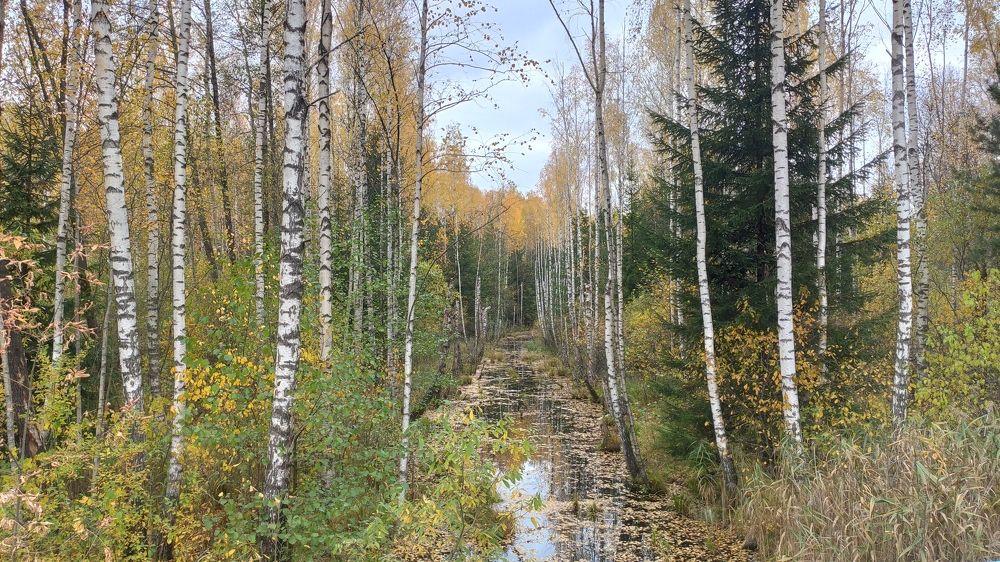 Photograph by Hleb Karneichuk