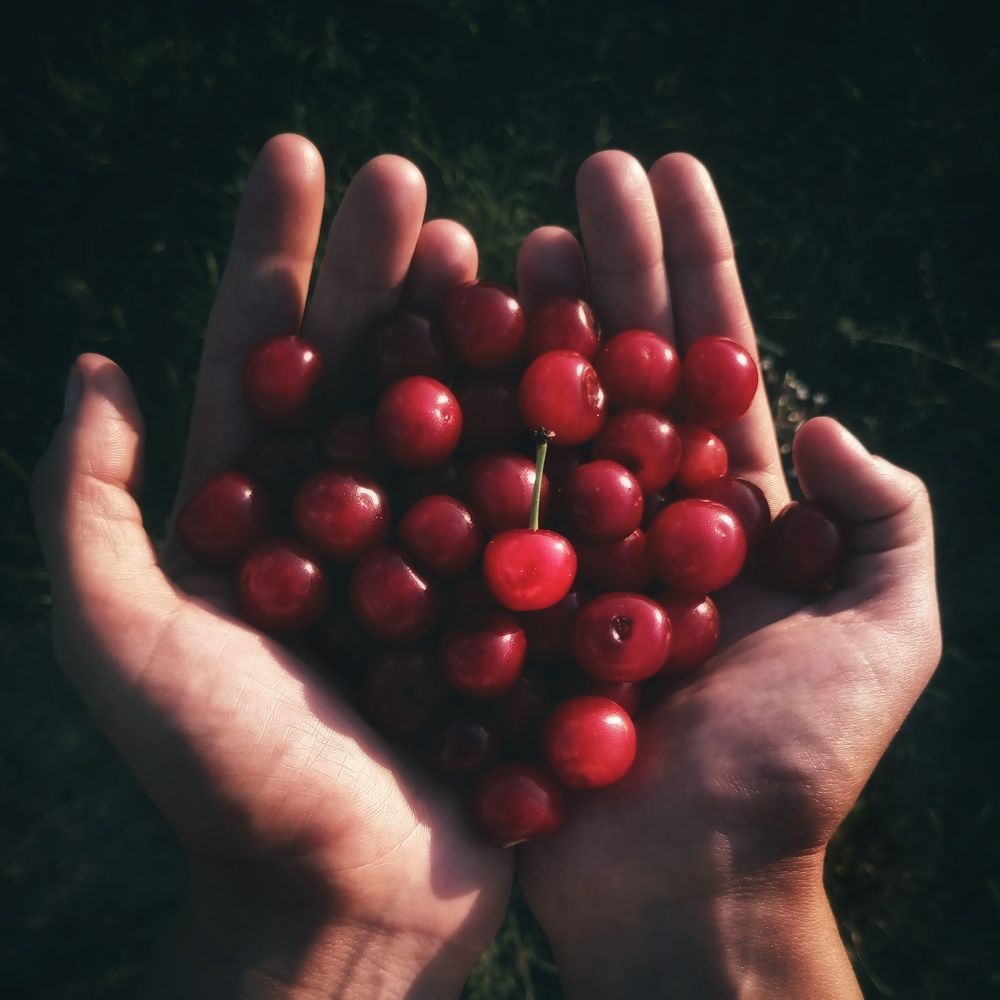 Фотография автора Геннадий Ломеко