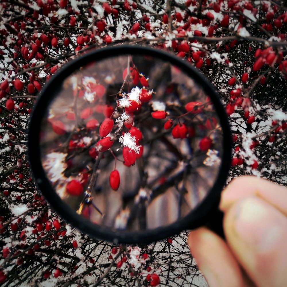 Фотография автора Геннадий Ломеко