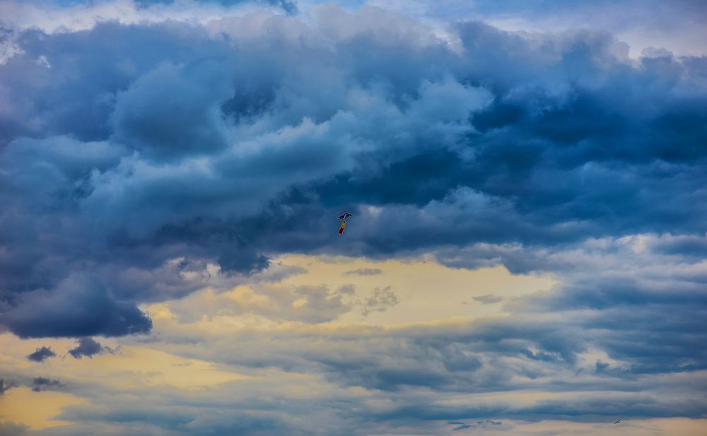 Photograph by Александр Друкар