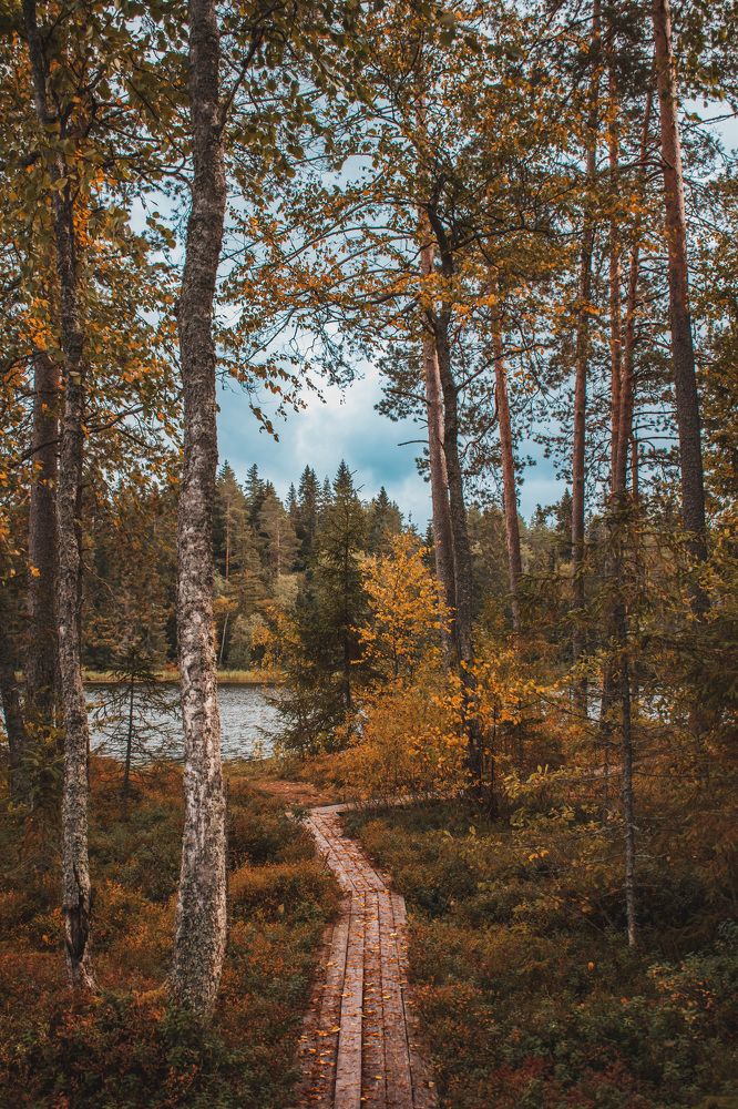 Photograph by Александр Сочнев