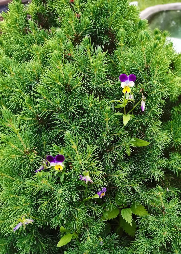 Photograph by людмила