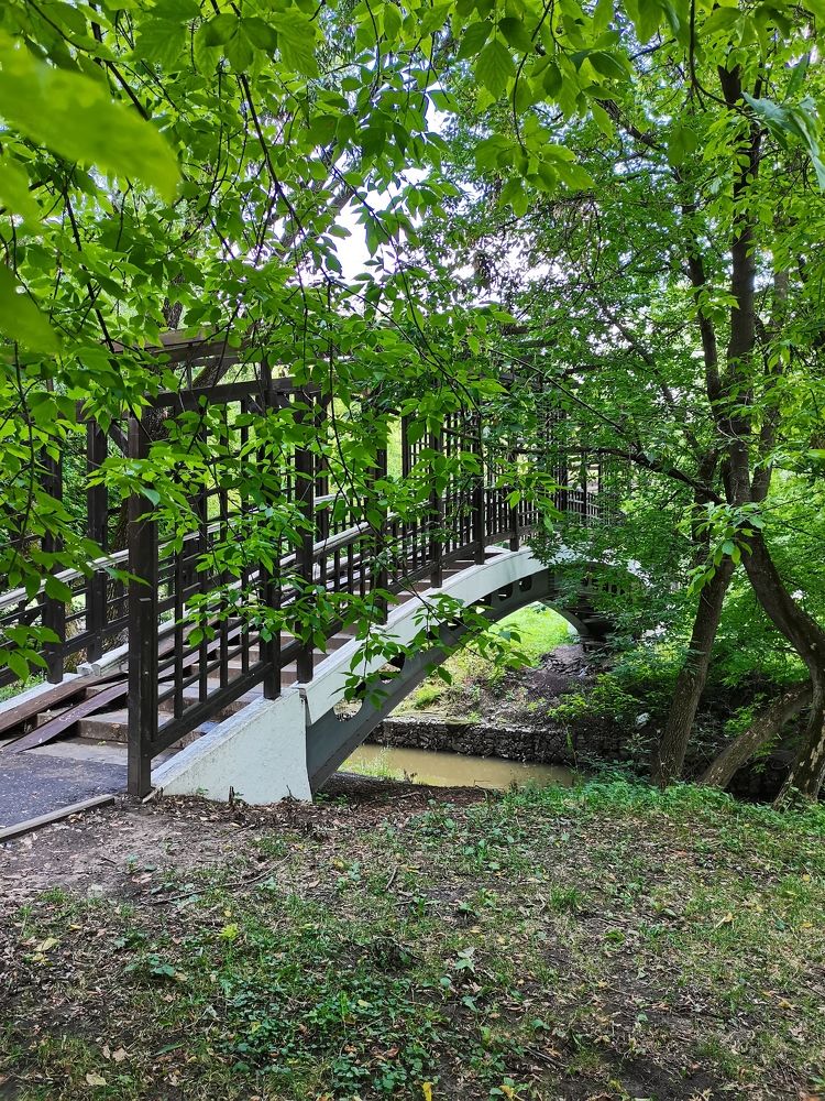 Photograph by людмила