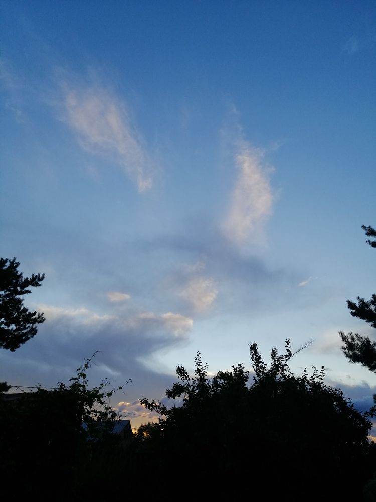 Photograph by Ольга Сапожникова