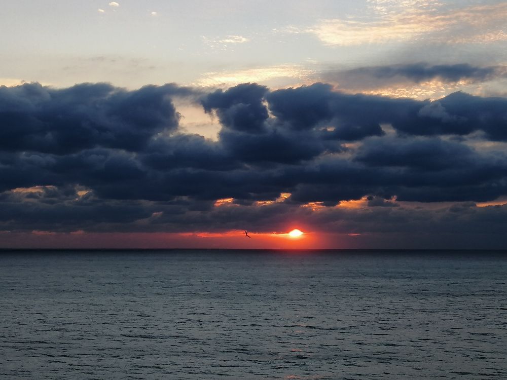 Photograph by Ольга Сапожникова