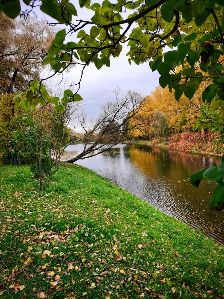 Photograph by Виктория Федосеенко