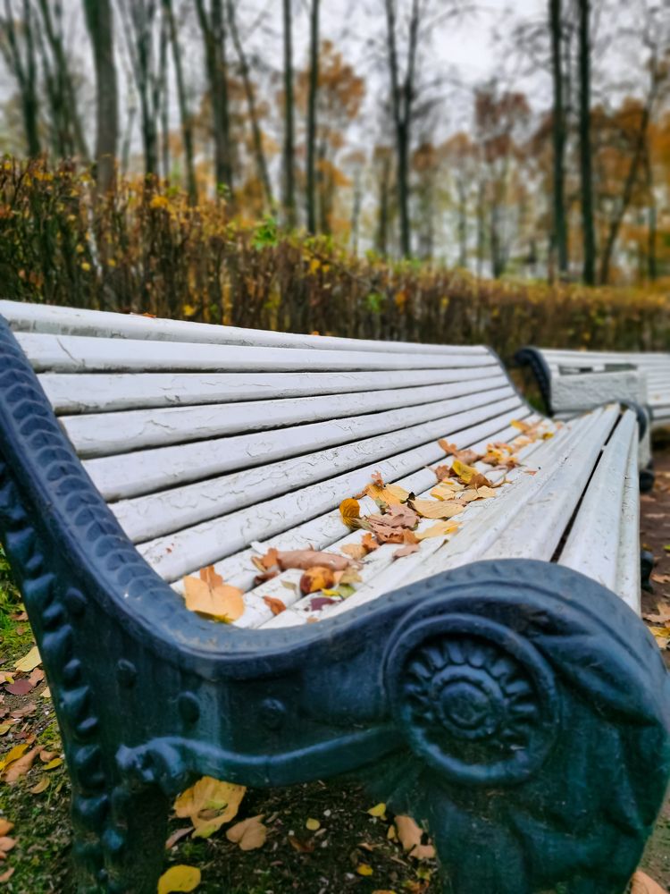 Photograph by Виктория Федосеенко