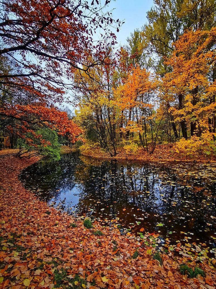 Photograph by Виктория Федосеенко