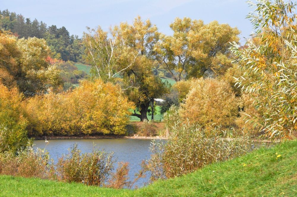 Photograph by Лысых Галина