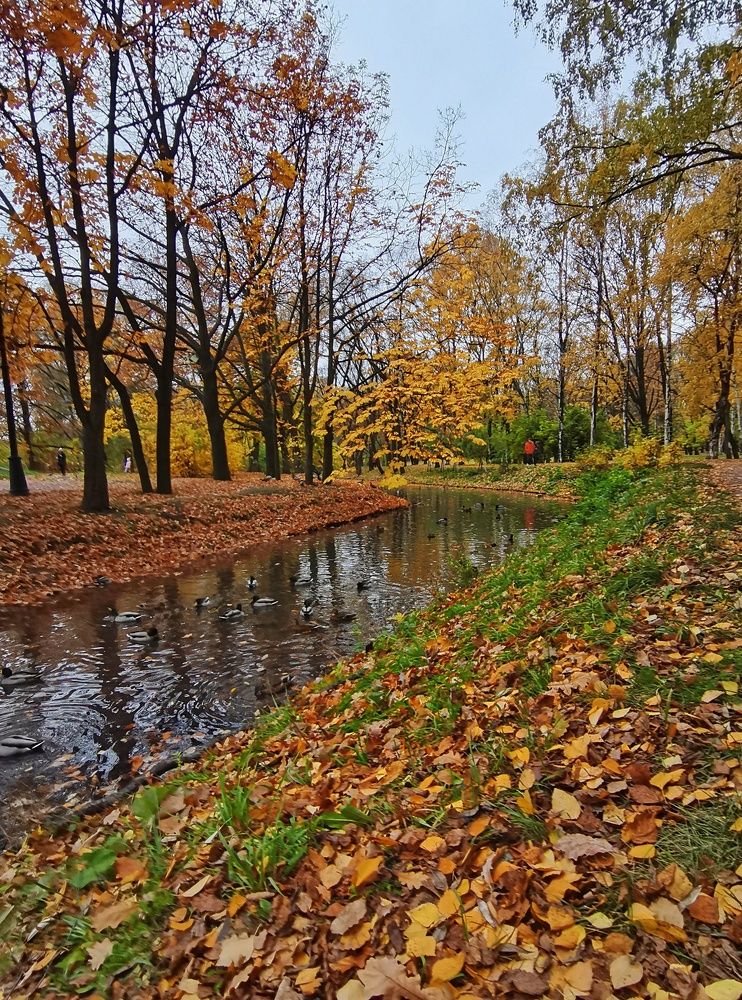 Осенняя пора