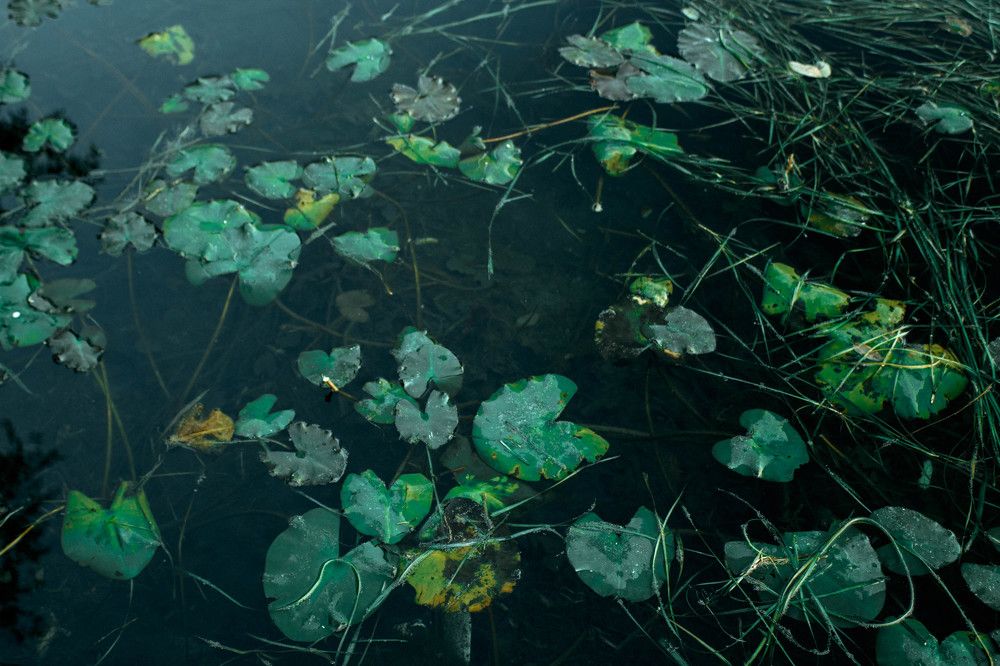 Photograph by Наталья Шёлкова