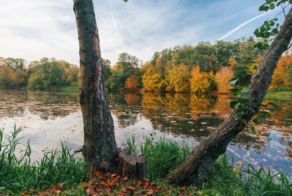 Photograph by Олег Милеев (Каминцев)