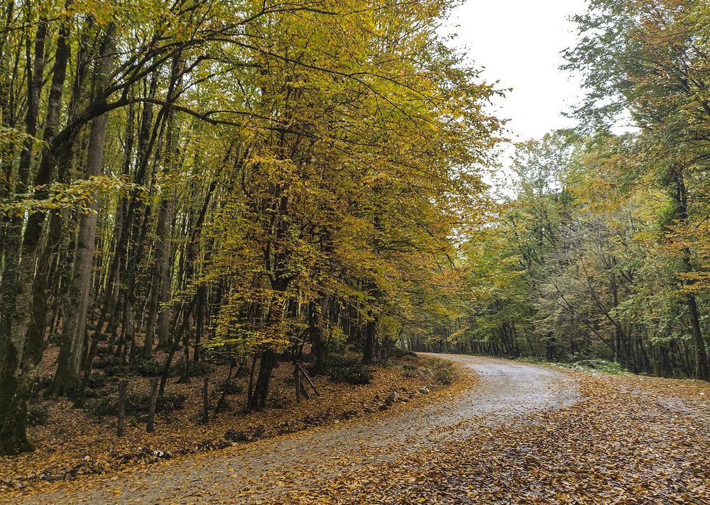Photograph by Mahdi vagahri shorche