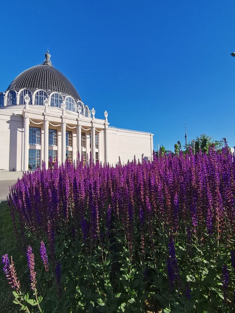 Photograph by людмила