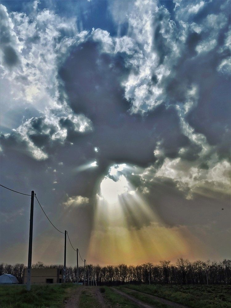 Photograph by Долгушева Татьяна