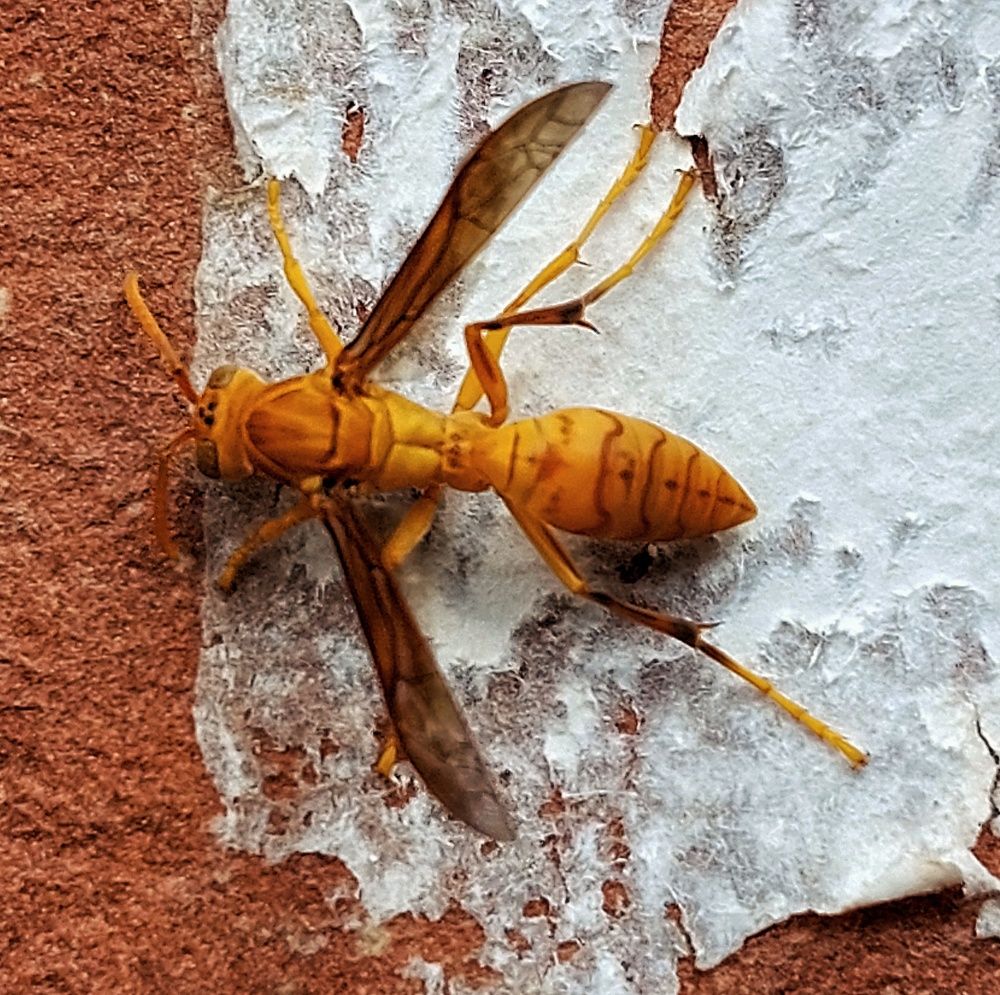 Photograph by Neelimaa Ripote