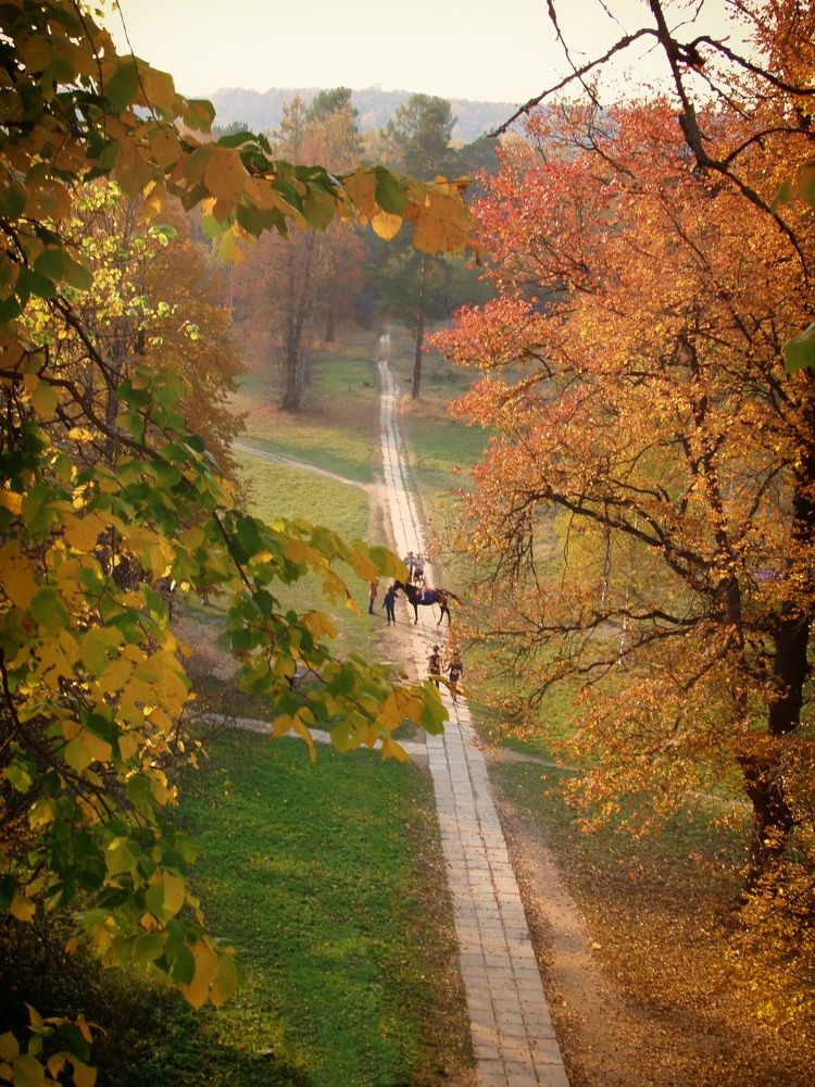 Photograph by Николай Тышкунов