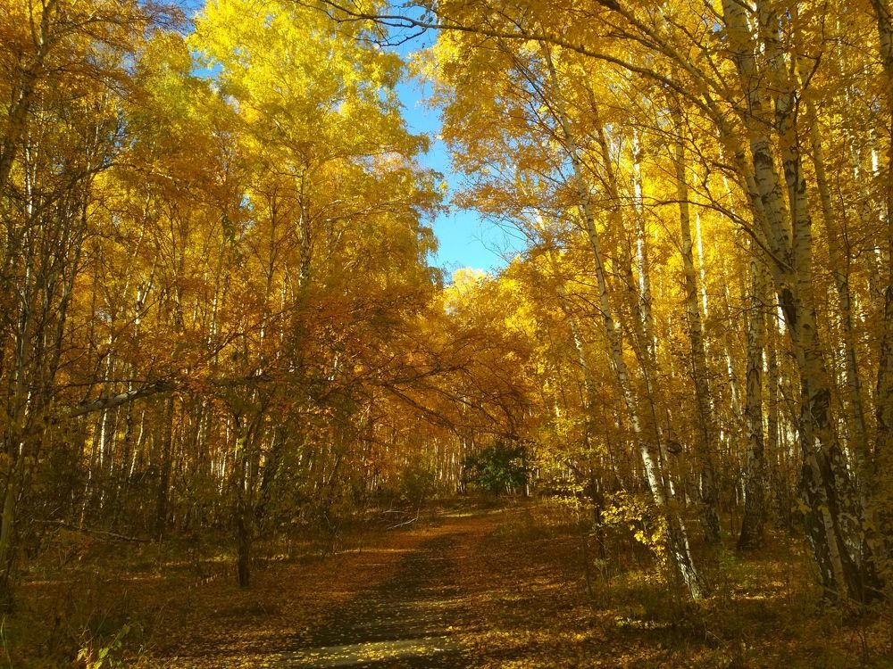 Photograph by Владислав Д