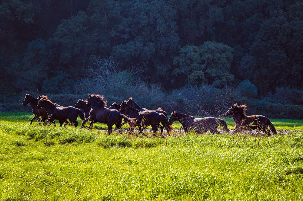 Photograph by Katerina