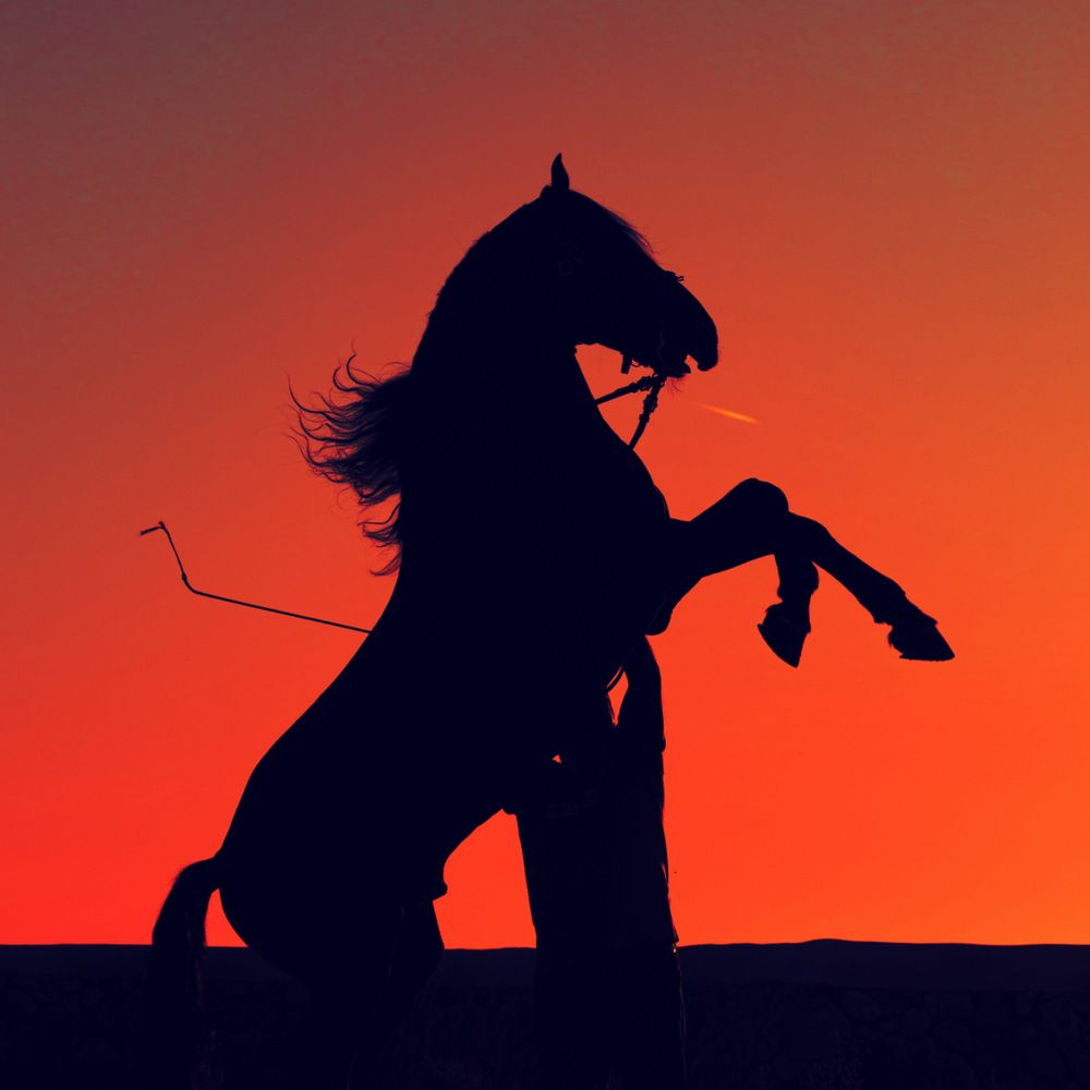 Photograph by Katerina