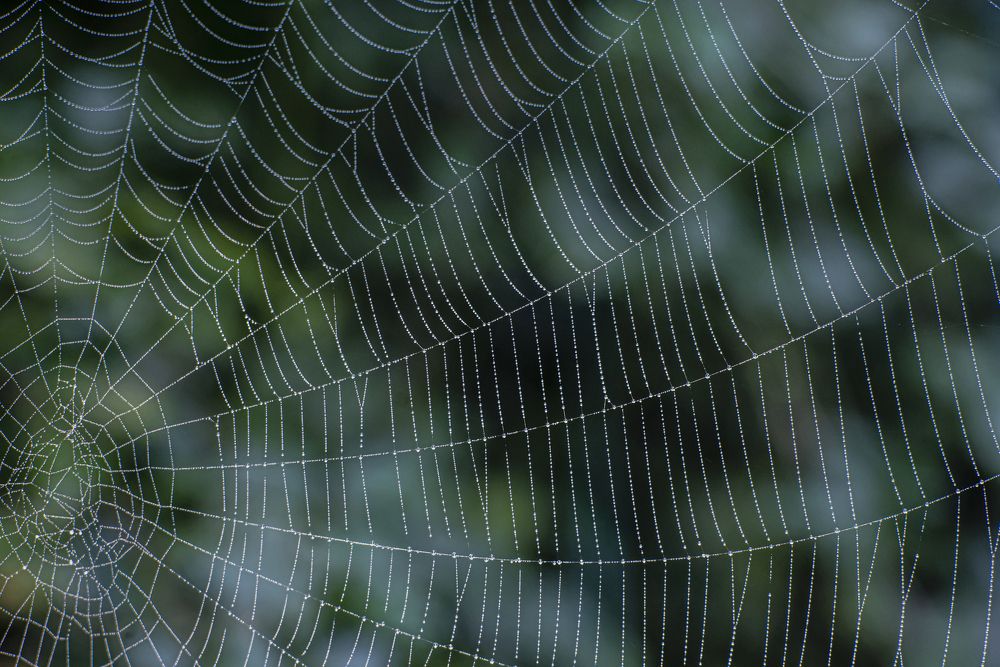 Photograph by Запылаева Анна