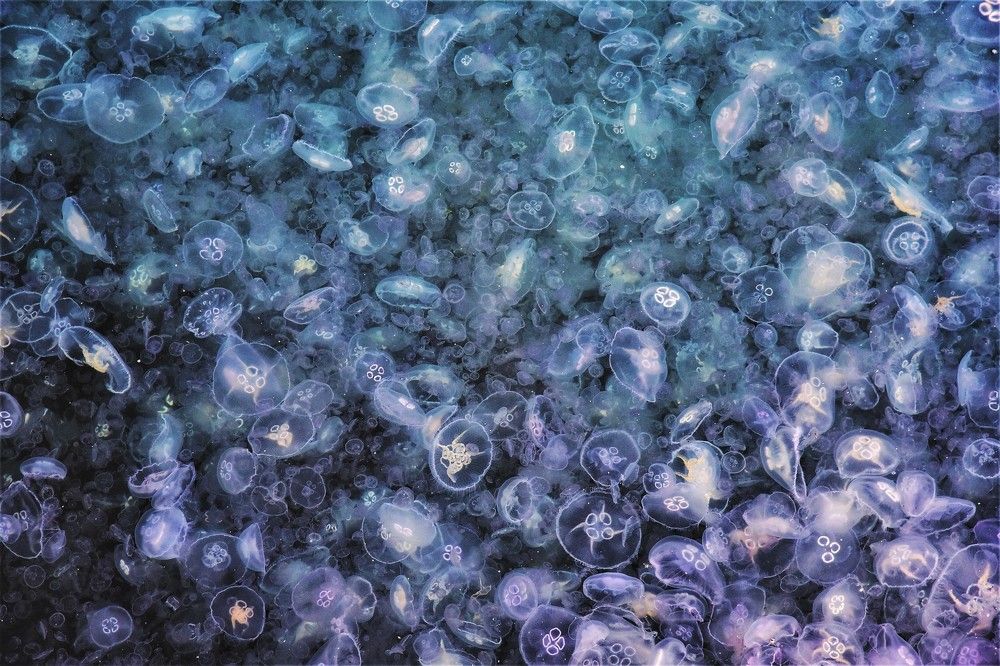 Photograph by Emir Bozkurt