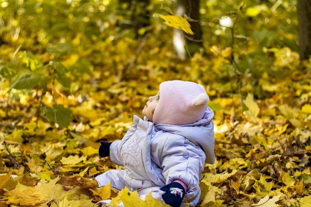 Photograph by Алексей Чеботарев