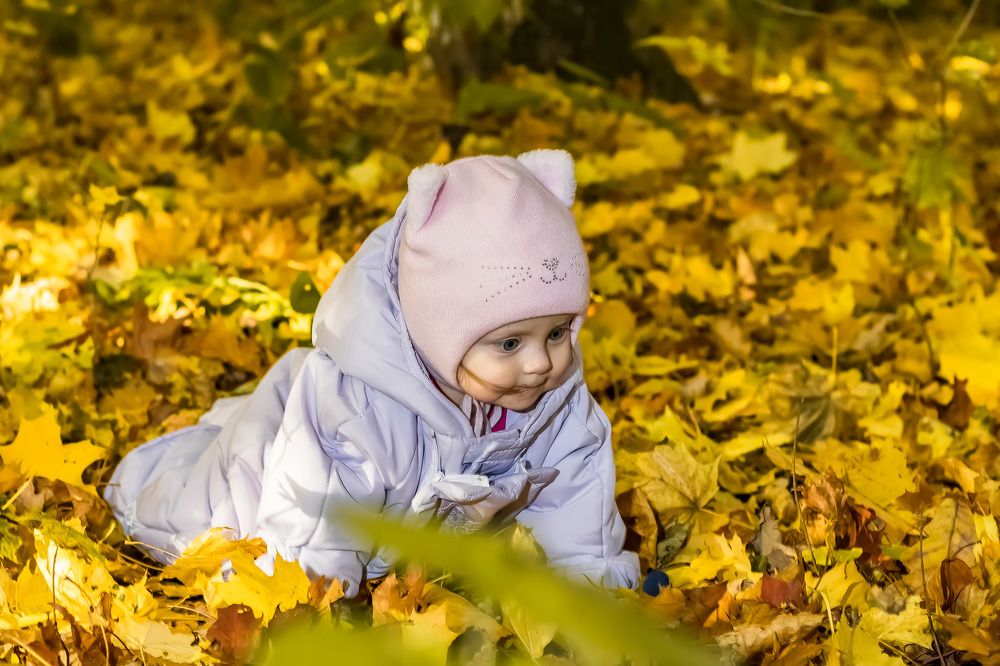 Photograph by Алексей Чеботарев